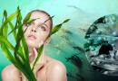 Морские водоросли – сырье для косметики